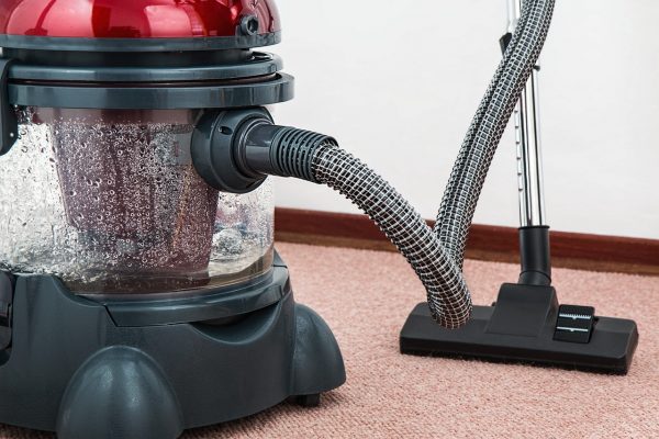 professional carpet cleaning vs. diy